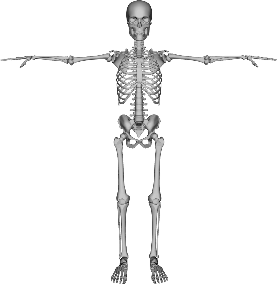 Bare Bones: Calcium and Natural Sources of Vitamins A, D & K2