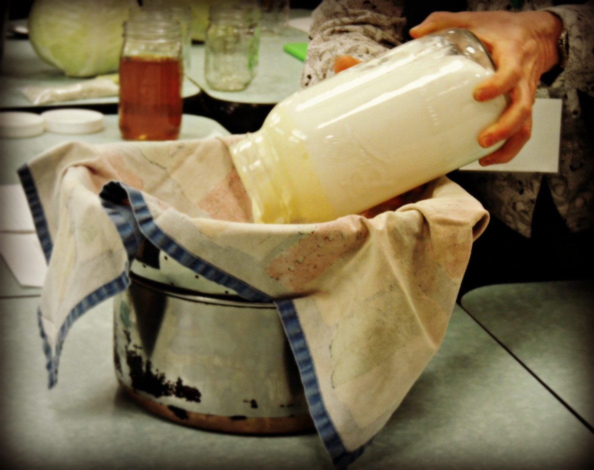 Homemade Whey Protein vs. Protein Powder