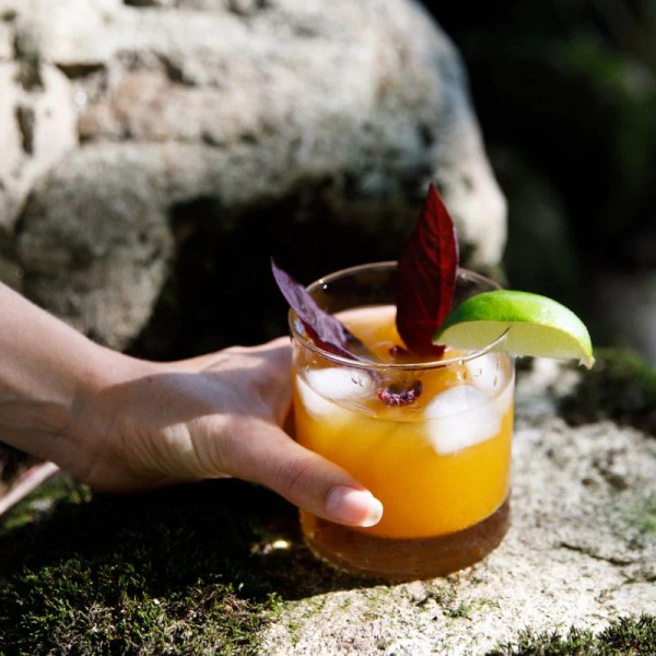 Turmeric Tonic Turmeric Tonic