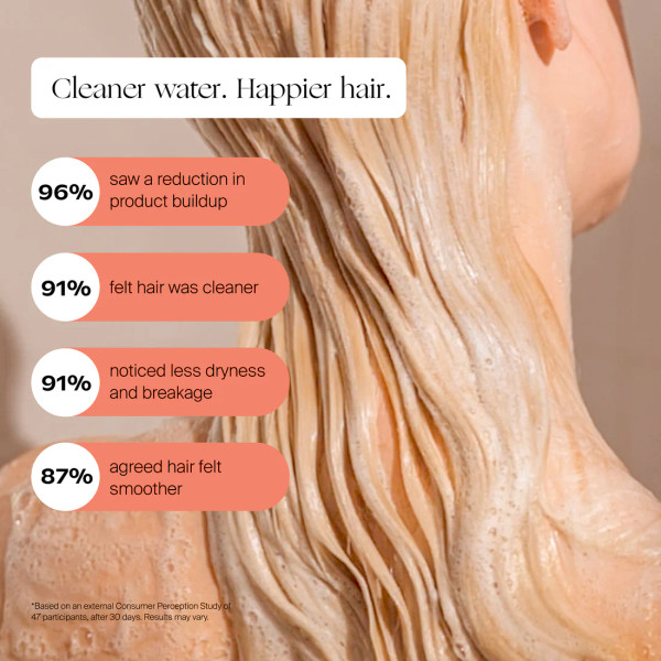 Handheld Filtered Showerhead