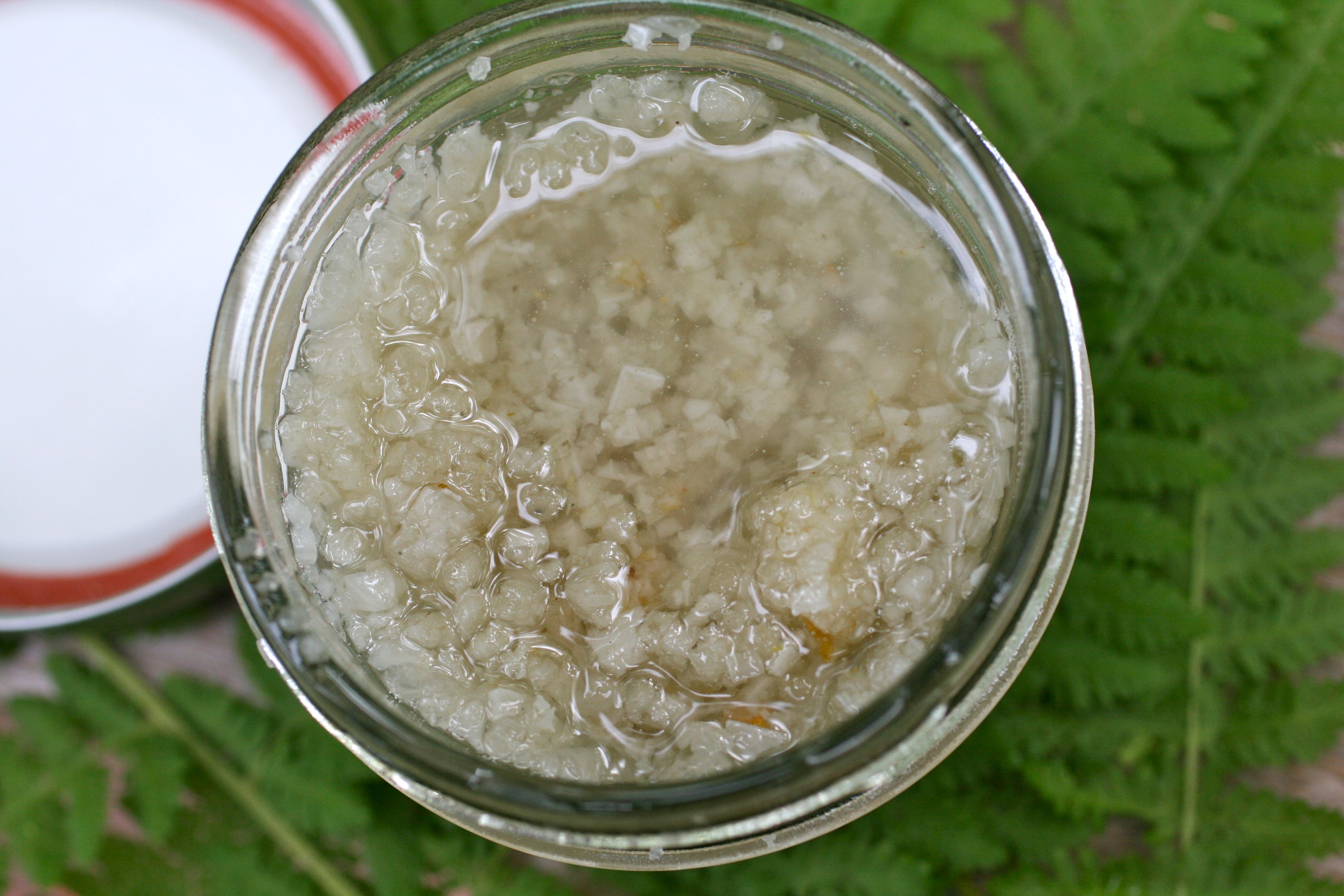 Homemade Celtic Sea Salt Scrub with Organic Oils Recipe Radiant Life