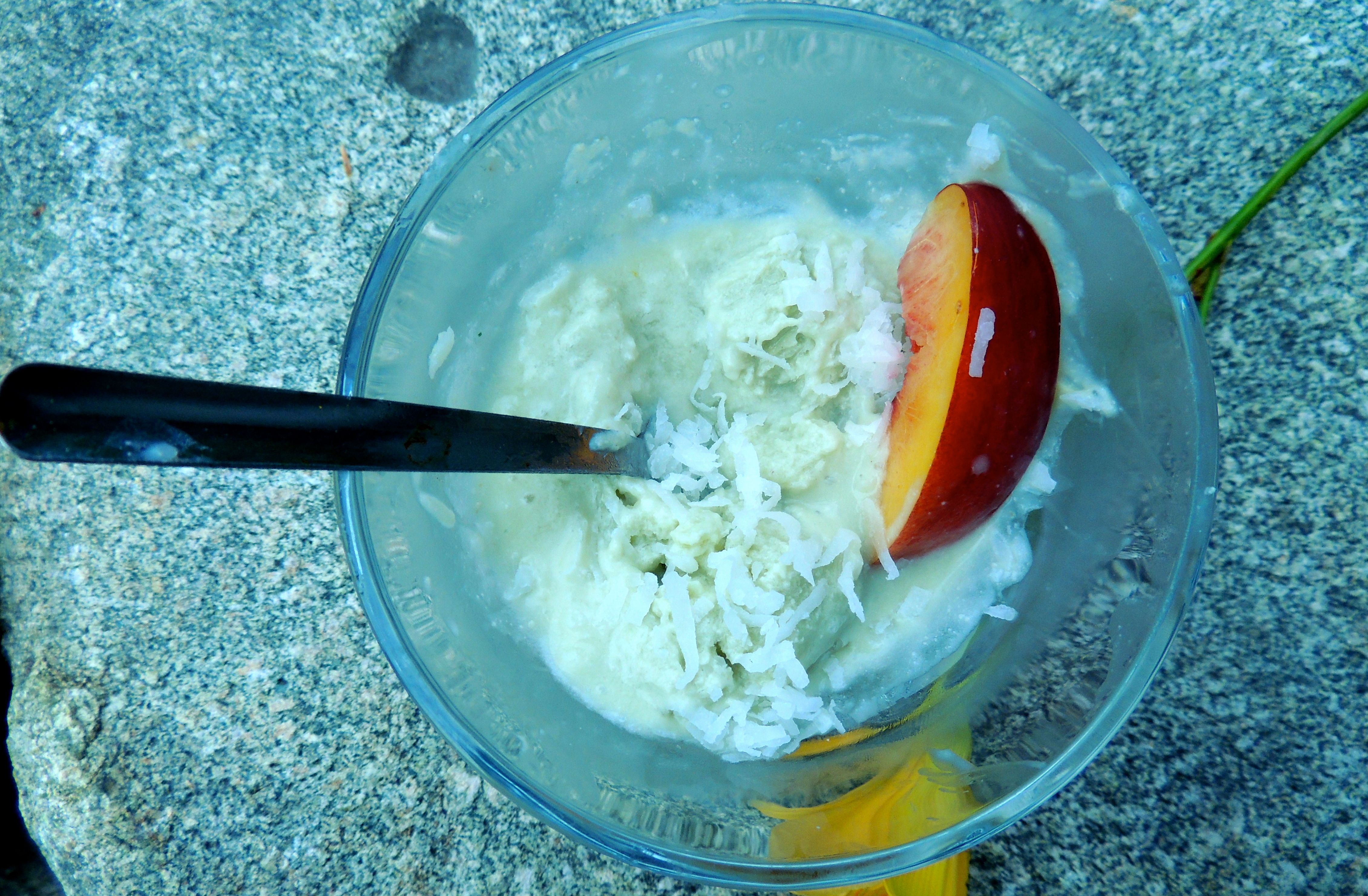 Homemade Coconut Milk Ice Cream Recipe DairyFree Radiant Life