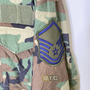 Insignia photo of the military parka