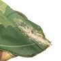 Helmet Cover, US Vietnam Mitchell Pattern M1 Helmet Leaf Camouflage Cover - Original 1965/66
