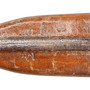 Bayonet & Scabbard, Canadian Ross MkII - 1912