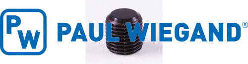 Gewindestift DIN/ISO 913/402 M10x1x10 (90000475)