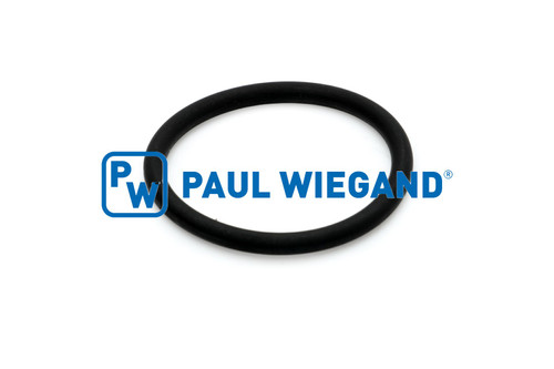 O-Ring 25x2,5 FKM 75° Shore (90000817)