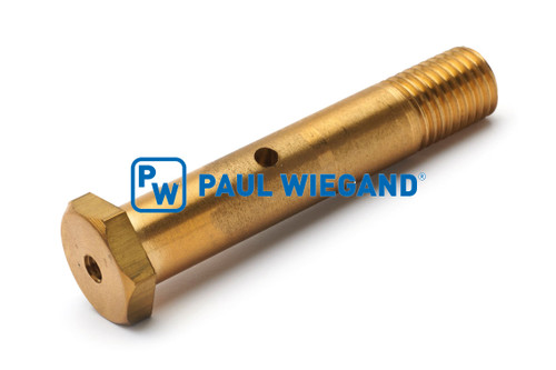 Bolzen Dulevo 200 Aufnahme Tellerbesen M16X93  (58022009)