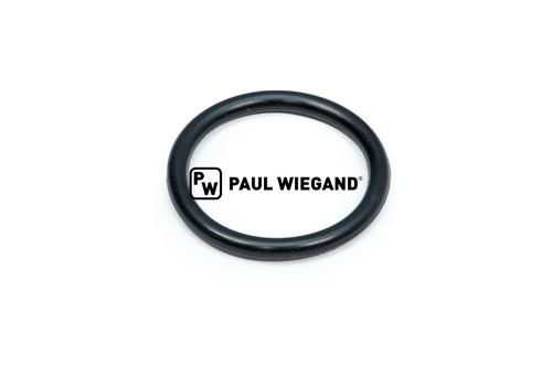 O-Ring (84002123)