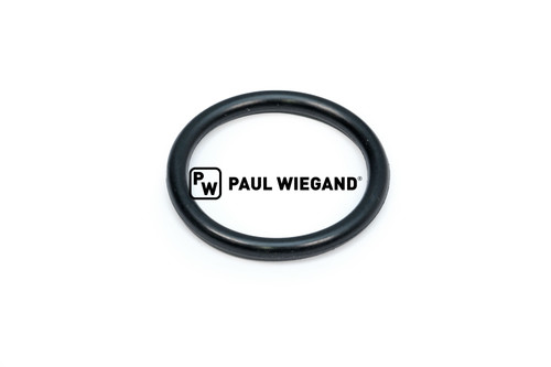O-Ring (84002123)