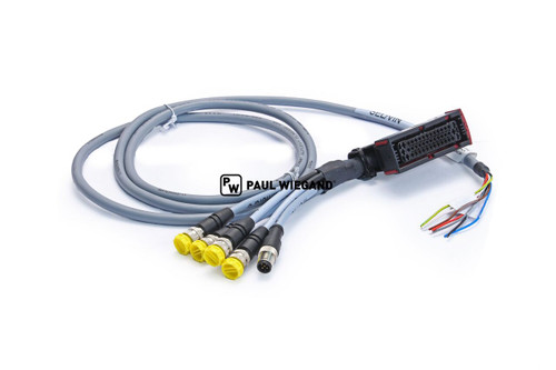 Kabelbaum Motec Ametek MVCU1400-KB10 (79010905)
