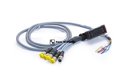 Kabelbaum Motec Ametek MVCU1400-KB10 (79010905)