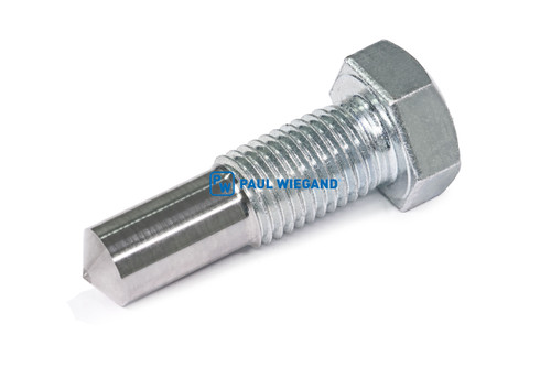 Sechskantschraube NTM Hecklader Packplatte M24x80 verzinkt 8.8 (25020117)