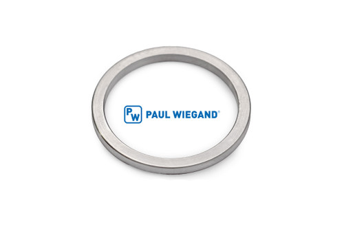 Dichtring DANA (84009704)