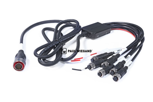 Kabelbaum Motec Ametek MDT4000-AI-4A-AK-4 (79010939)