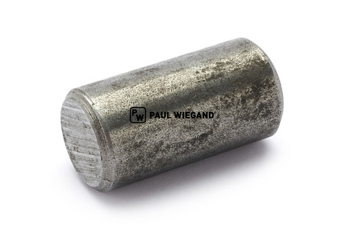 Bolzen Faun ENVIRONNEMENT Twinlift Sperrklinke Klapparm 1.1  (70013042)