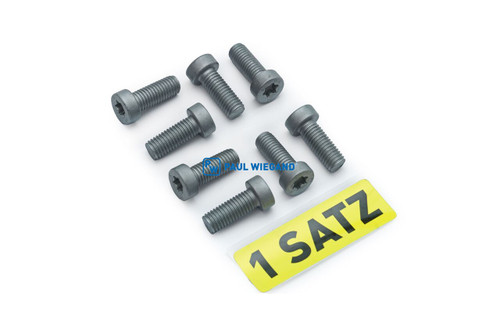 Zylinderschraube Satz M10x1,5 (8x) (80061129)