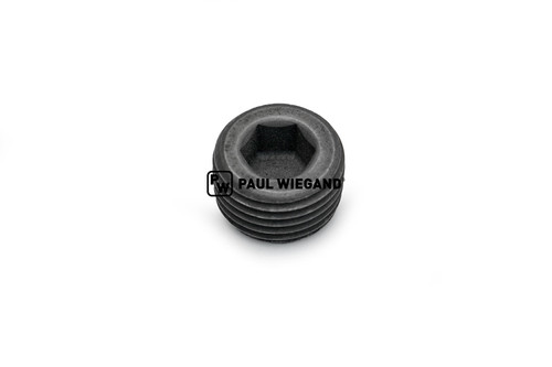 Verschlussschraube R3/8" (84003847)