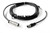 Adapterkabel Motec Ametek MK490.4 (79010679)