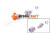 Kupplungssatz CEJN Multi-X DN12,5 G1/2" GII (BSP) (41000224)