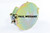 Ankerplatte Johnston VT/VS 501 Heckabsaugung D: 151 (67013611)