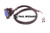 Adapterkabel Motec Ametek MK132.1,5-G.1,1 mit Schutzschlauch (79010653)