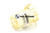 Gehäuse Hako Citymaster 2000 Wasserfilter unten transparent  (65066051)