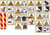 Aufkleber Johnston VT/VS 500 (67011688)