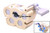 CEJN Kupplung Multi-X Quattro 12,5 Kupplungsseite G1/2" GII (BSP) (41000198)
