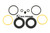 Dichtsatz Bucher Municipal Citycat 2020 Bremssattel Hinterachse EURO 3 (68036449)
