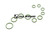 O-Ring Bucher Municipal Kit FKM  (68800688)