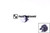 Drucktaster Trilety S6000(T) mit Schaltersymbol Fernbedienung D: 30 rastend (69064026)