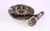 Kegelrad-Satz Hako Citymaster 2000 Differential  (65066021)