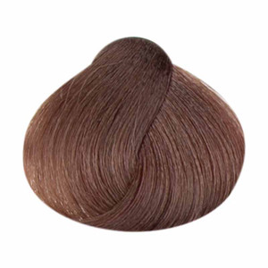 hi lift true color hi lift true color