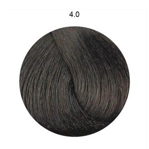 Fanola Color Hair Colour Cream 100ml - 4.0 Chestnut