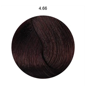 Fanola Color Hair Colour Cream 100ml - 4.66 Chestnut Intense Red