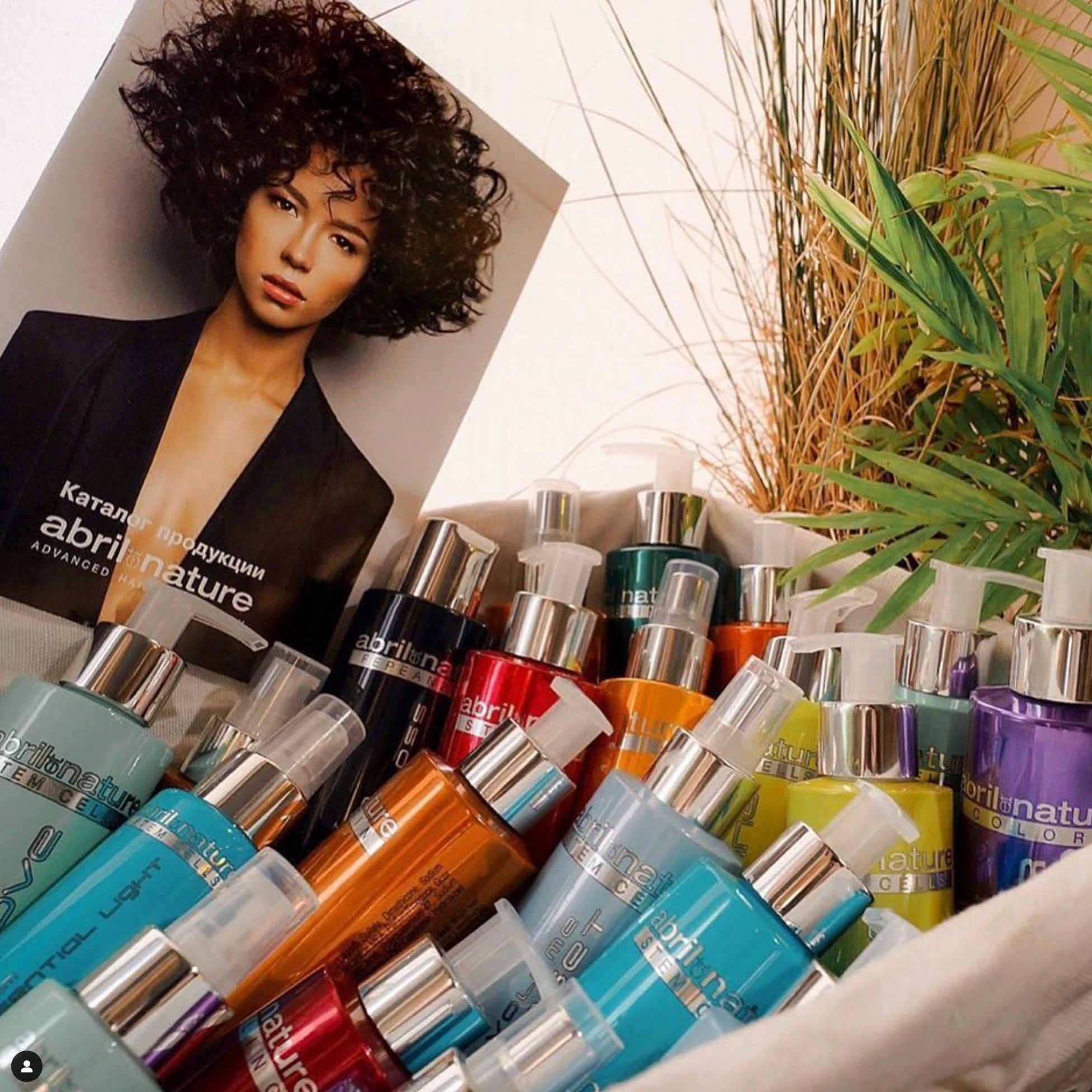 Why Are More Everyday Customers Choosing Professional Haircare Products? A Retail Opportunity for Salons
