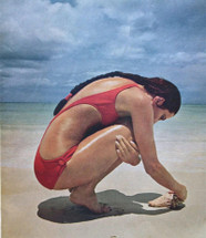 A Gift from the Sea