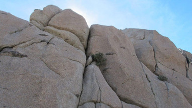 Desert Rising
