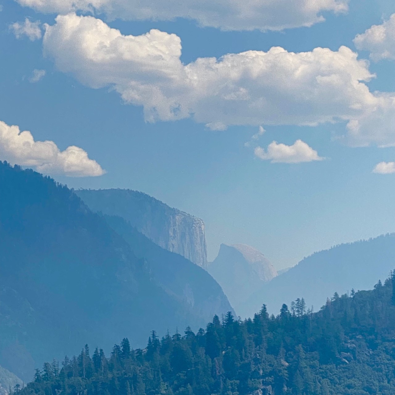 House of Cindy Experience the art of comfort and sustainability