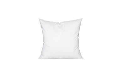 Outdoor 24 in. x 24 in. Premium Goose Down Feather Throw Pillow Inserts(Set of 2)-5% Down Filling, High Filling Weight, White