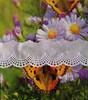 A pretty broderie anglaise trim, 40 mm wide, ideal for petticoats, dresses, cuffs and more, 100% cotton, Wash at 30 degrees, Priced per metre