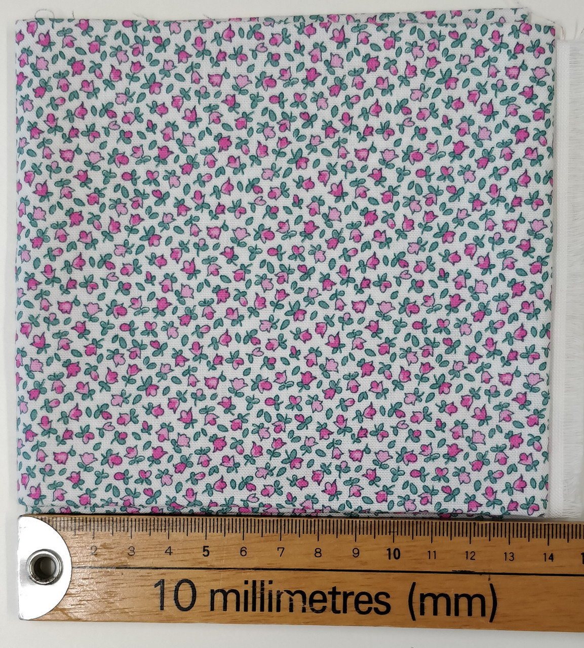 Scale of flowers shown with a ruler