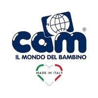 Cam