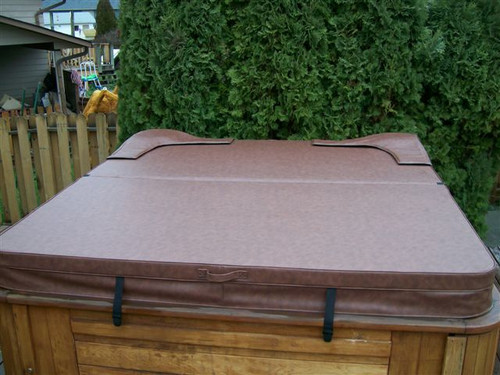 Dynasty Poseidon Hot Tub Cover