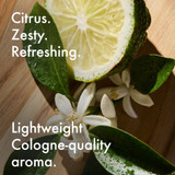 Bergamot & Neroli Shaving Cream 5 oz