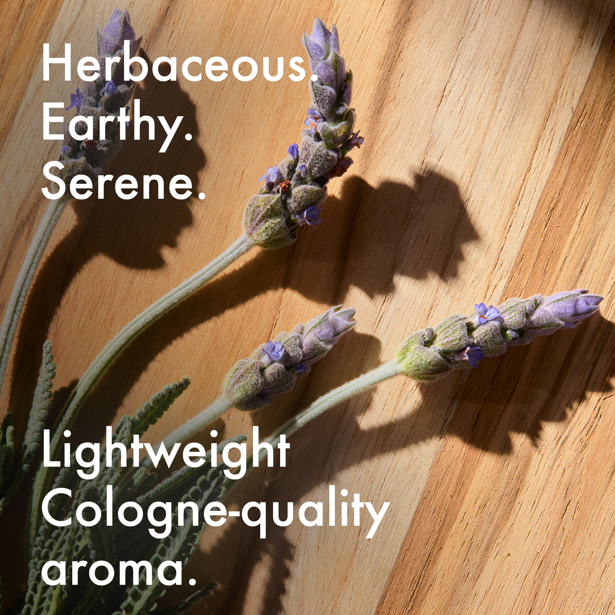 Lavender After-Shave Balm & Moisturizer - Image 6