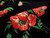 Wholesale Dress Fabric | Poppy Floral Viscose Crepe - Black | Fabric Godmother