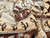 Wholesale Dress Fabric | Wild West Cotton Lawn - Brown | Fabric Godmother