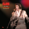 Elvis: At 3:AM - Lake Tahoe 1973 2 CD Set from MRS